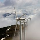 *Im höchsten Windpark Europas II*