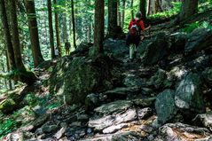 Im Höllbachgspreng zum Falkenstein