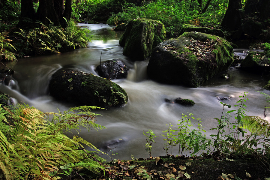 Im Höllbachtal