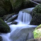 Im Höllbachtal bei Falkenstein