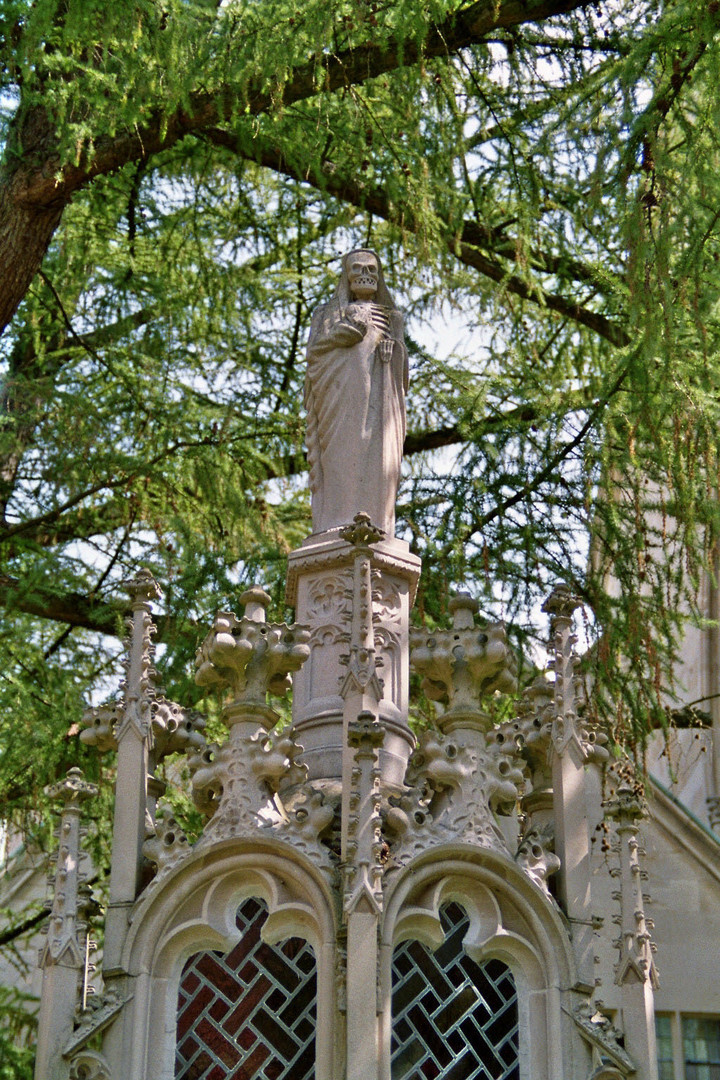 Im Hof des Doms zu Münster