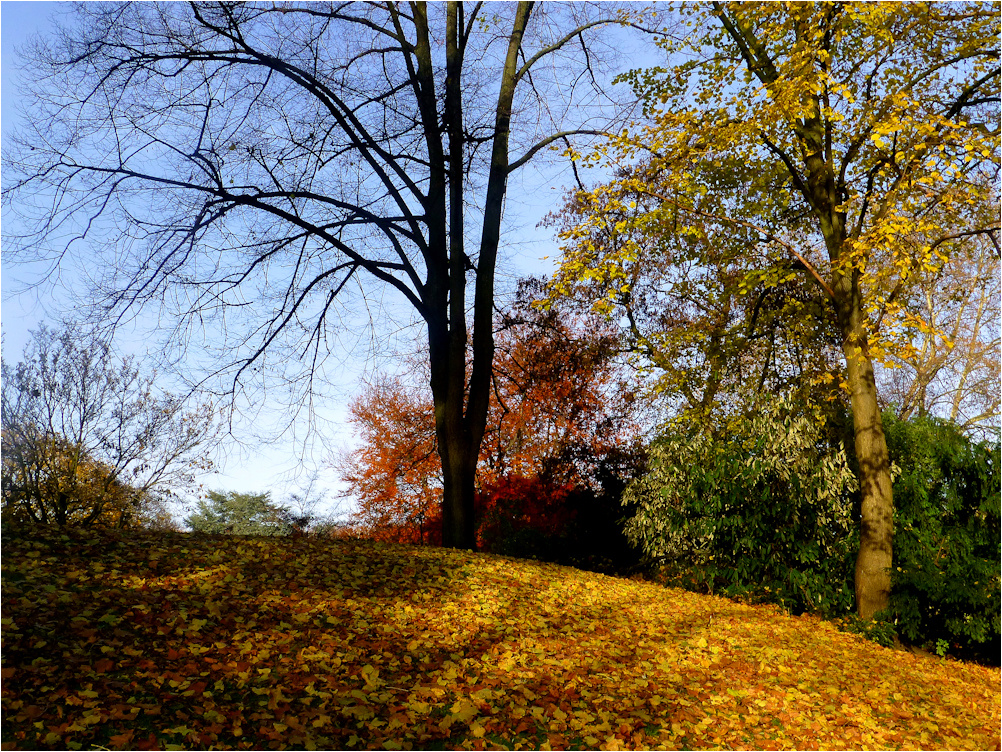 Im Hofgarten Düsseldorf