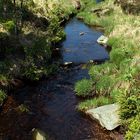 Im Hohen Venn - Hautes Fagnes