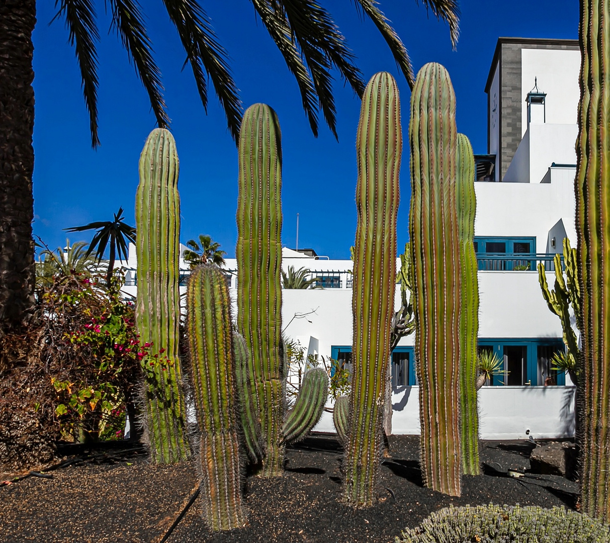 Im Hotelgarten