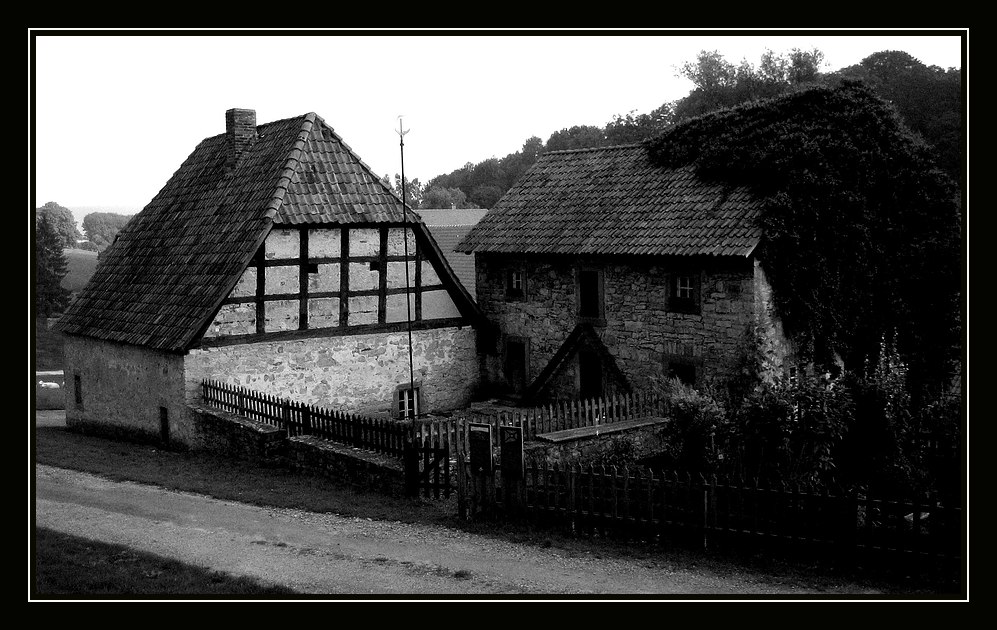 Im Hühnerhof