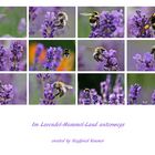 im Hummel-Lavendel-Land.......