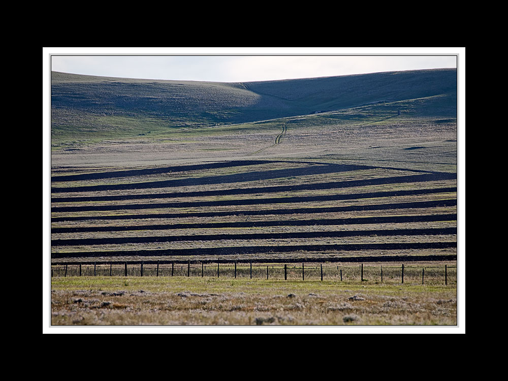 Im Hustai-Nationalpark 01