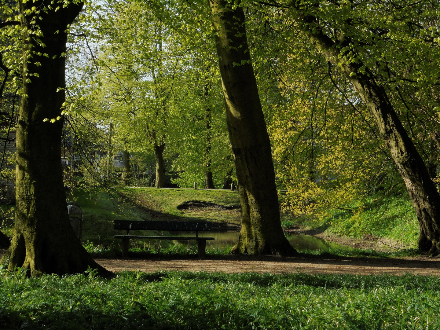 Im Husumer Schlosspark