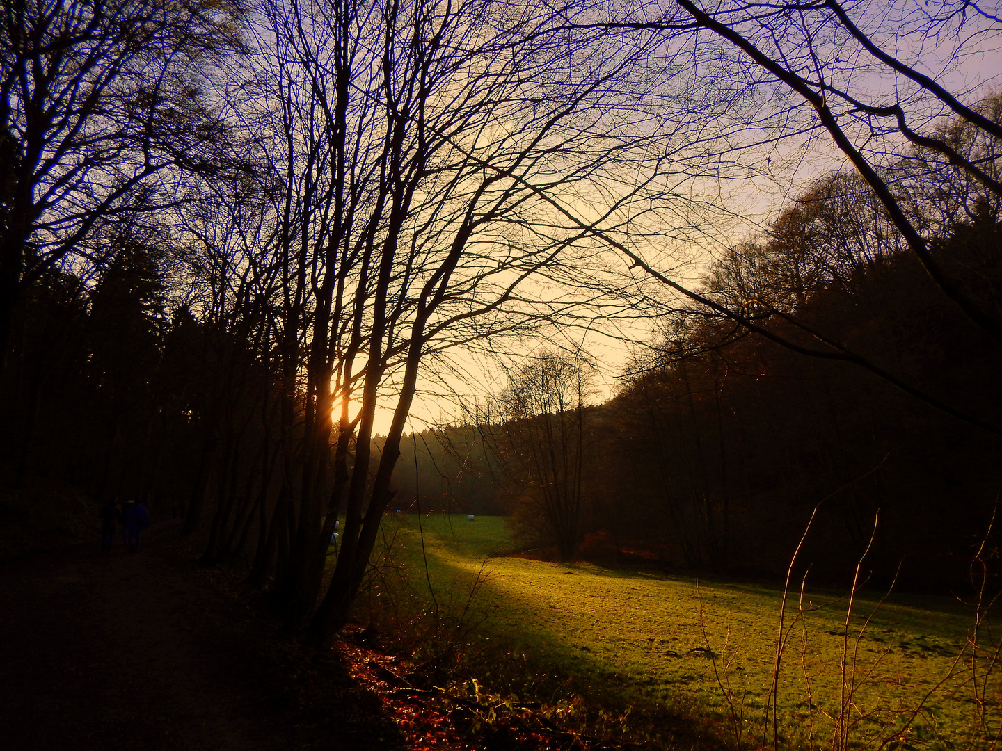 Im Huttetal bei Witten