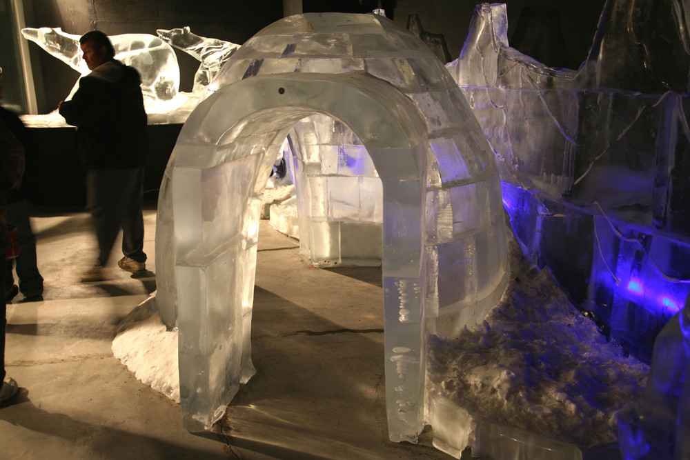 Im Ice Museum