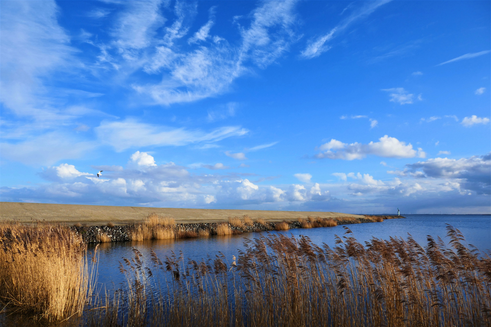 Im IJsselmeer