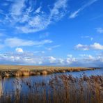 Im IJsselmeer