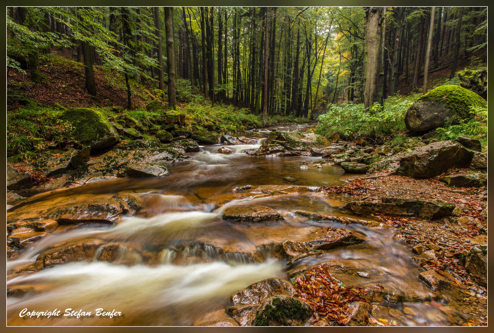 Im Ilsetal 2 (Harz)