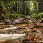 Im Ilsetal 2 (Harz)