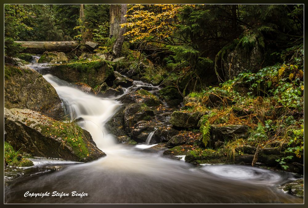 Im Ilsetal 3 (Harz)