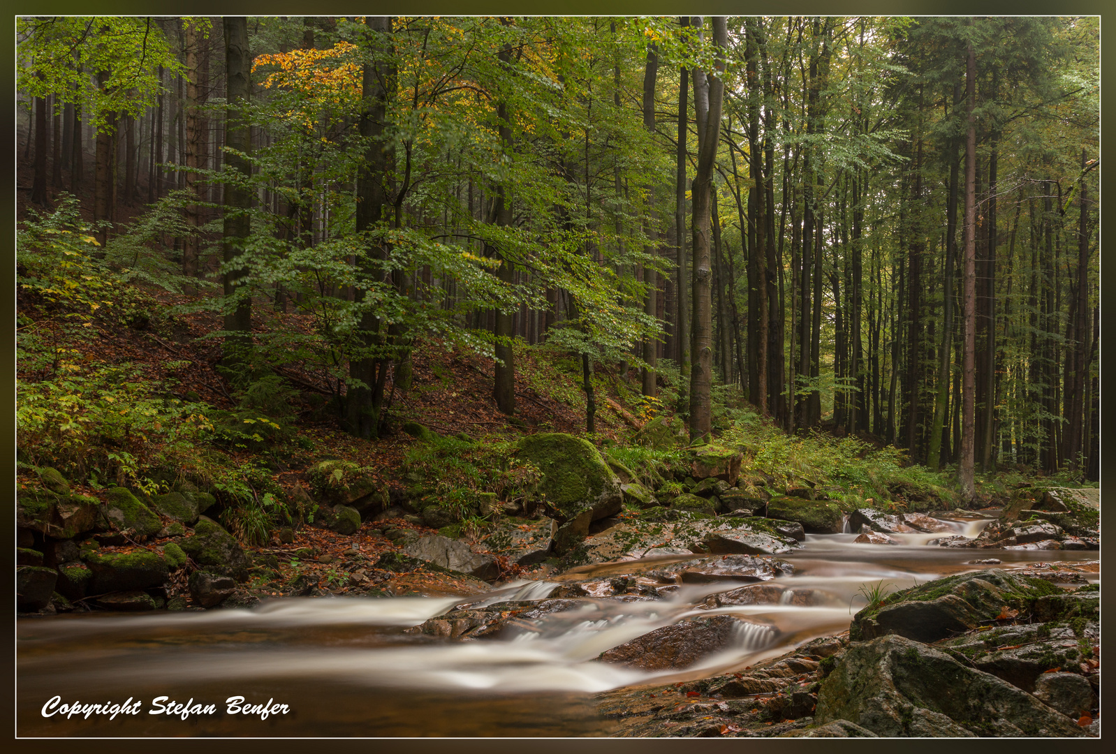 Im Ilsetal (Harz)