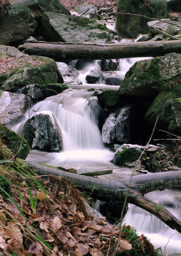 Im Ilsetal/Harz 2