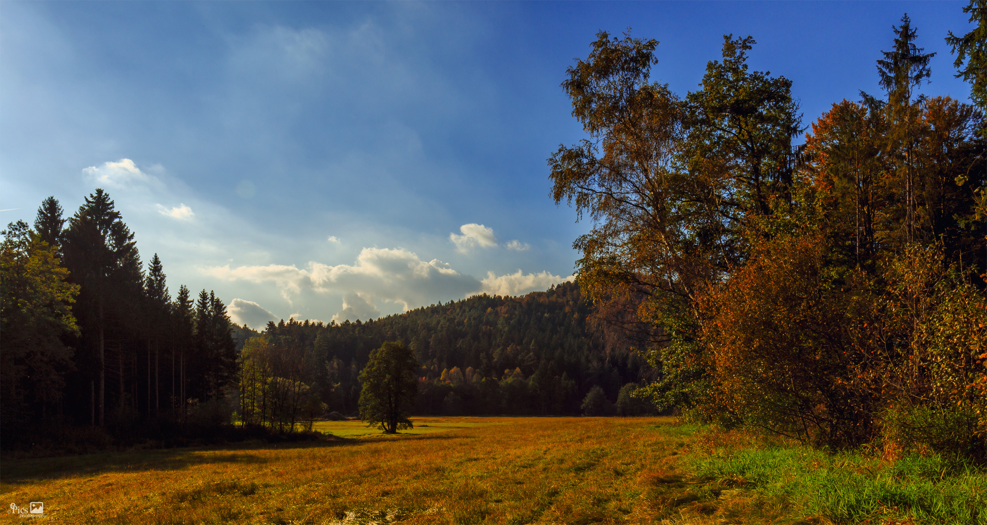 Im Ilzauenland - Bayern621