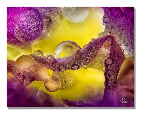 Im Inneren der Blüte