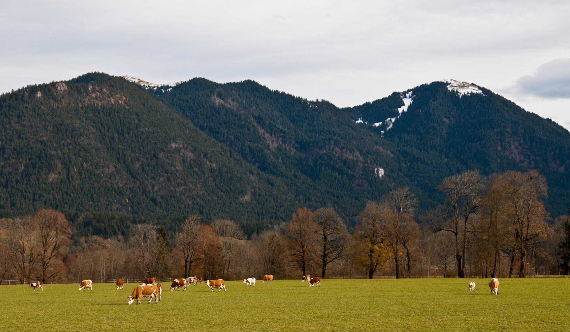 Im Isartal bei Lenggries (II)