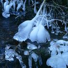 Im Jänner war noch Winter