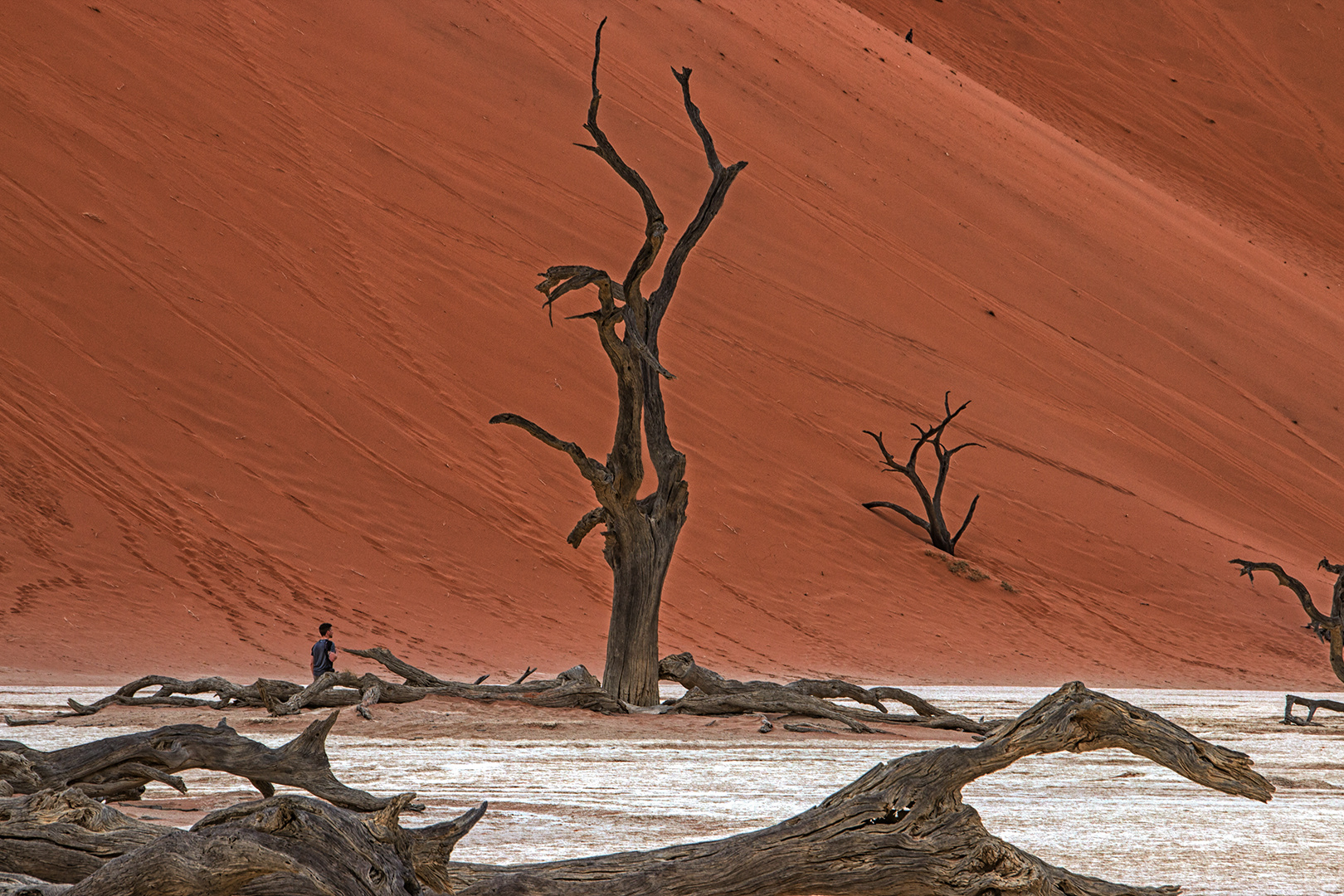 Im Jahr 2000... Foto & Bild africa, southern africa, namibia Bilder