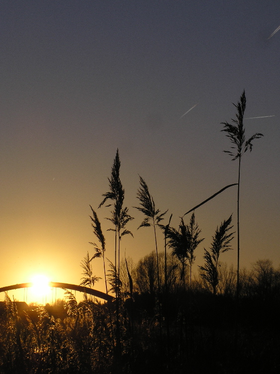 ... im Januar am Kanal