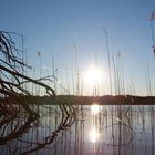 Im Januar am Ostersee