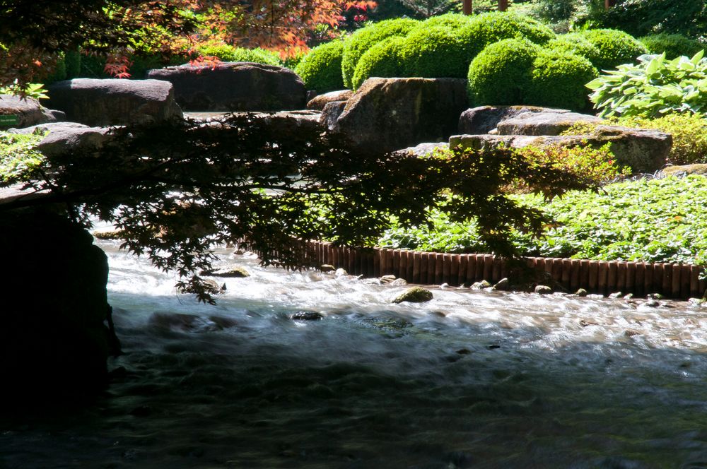 Im JapangartenBot. Garten Augsburg Foto & Bild landschaft, garten