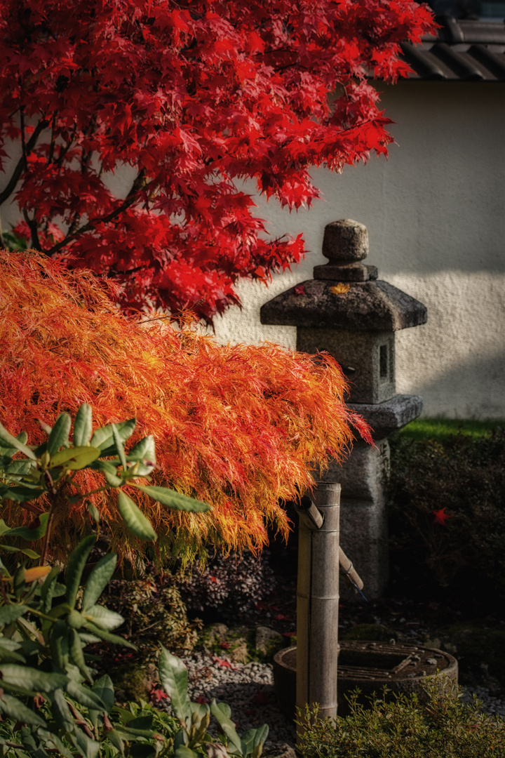 Im japanischen Garten... 1