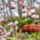 Im Japanischen Garten