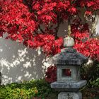 Im japanischen Garten... 4