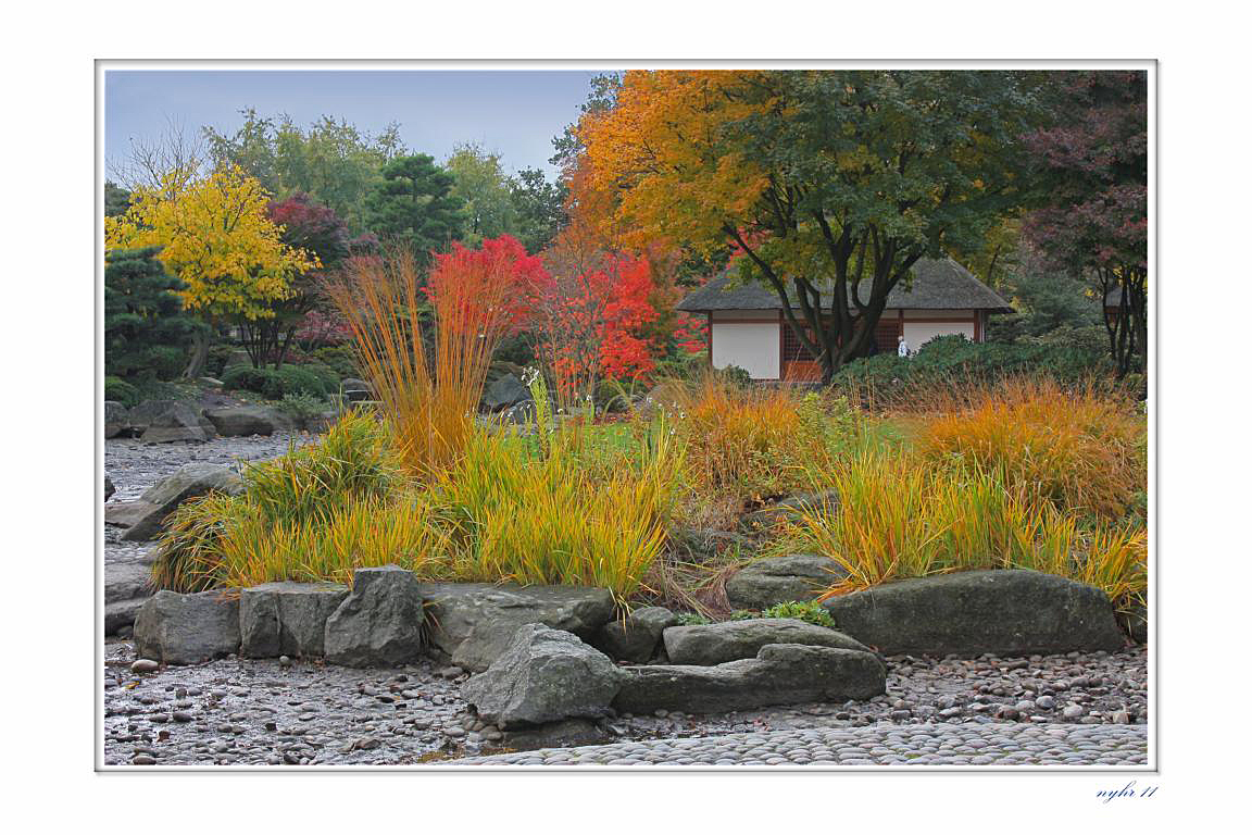 im japanischen Garten