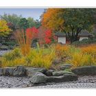 im japanischen Garten