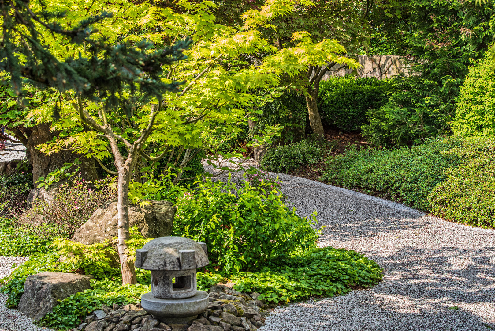 im Japanischen Garten