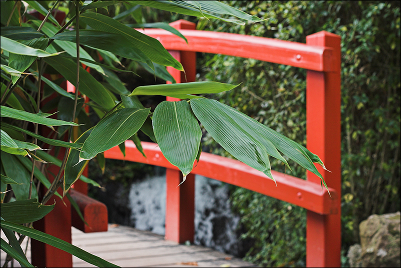 Im Japanischen Garten