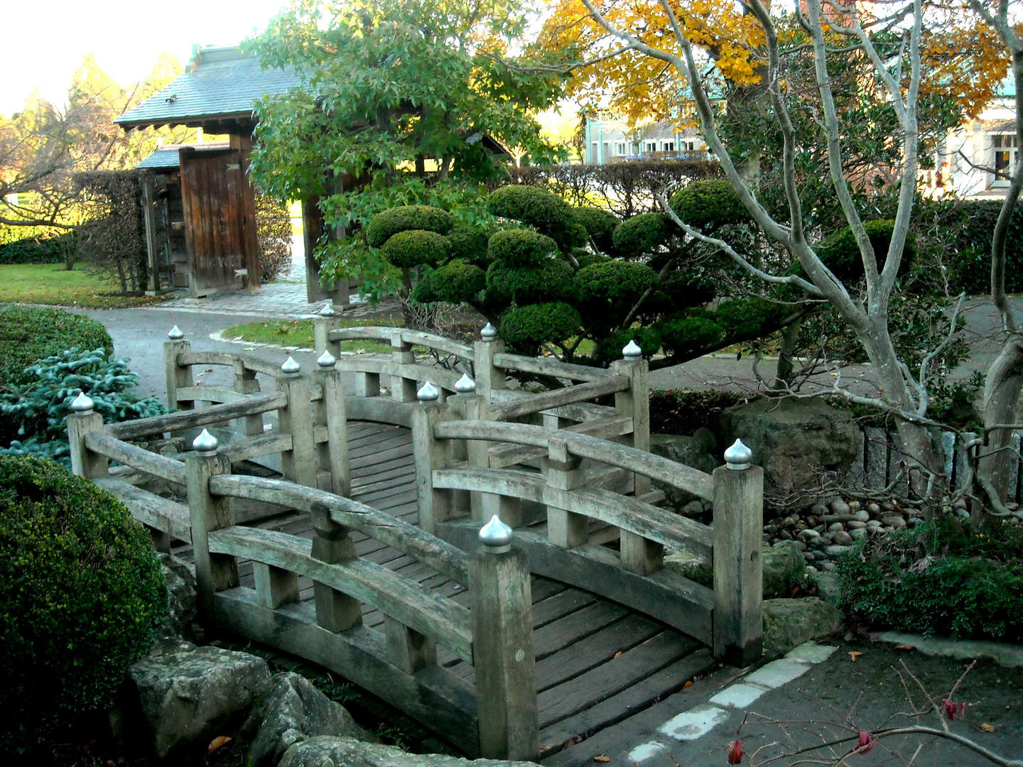 Im Japanischen Garten Am Seepark In Freiburg I Br Iii Foto