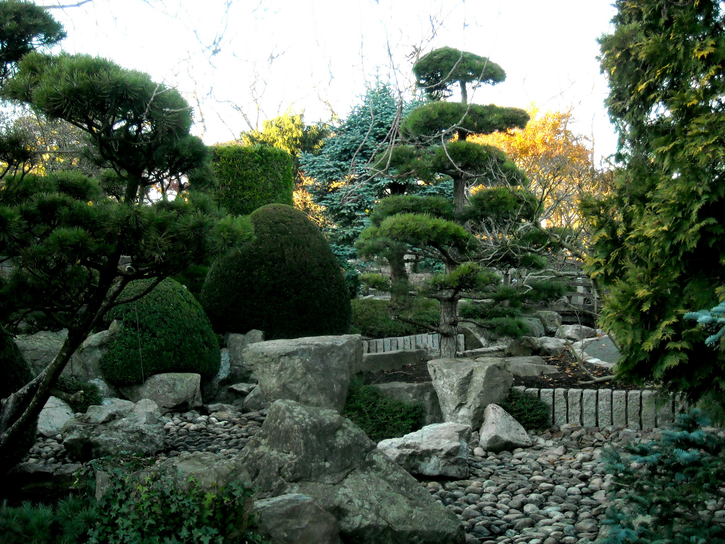 Im Japanischen Garten Am Seepark In Freiburg I Br Iv Foto