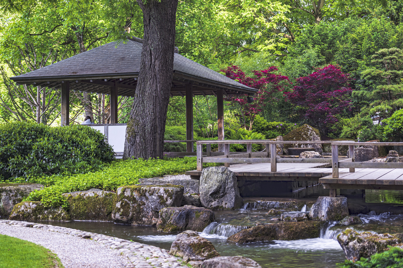 Im Japanischen Garten Augsburg...