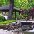 Im Japanischen Garten Augsburg...