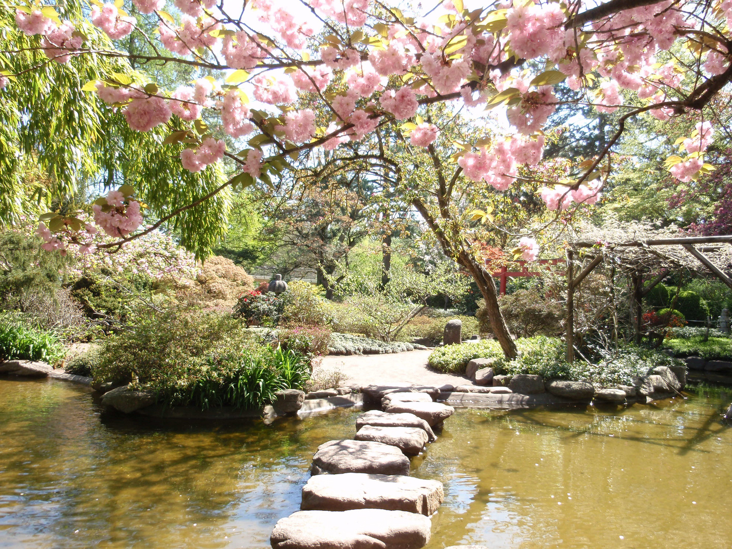 Im Japanischen Garten