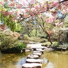 Im Japanischen Garten