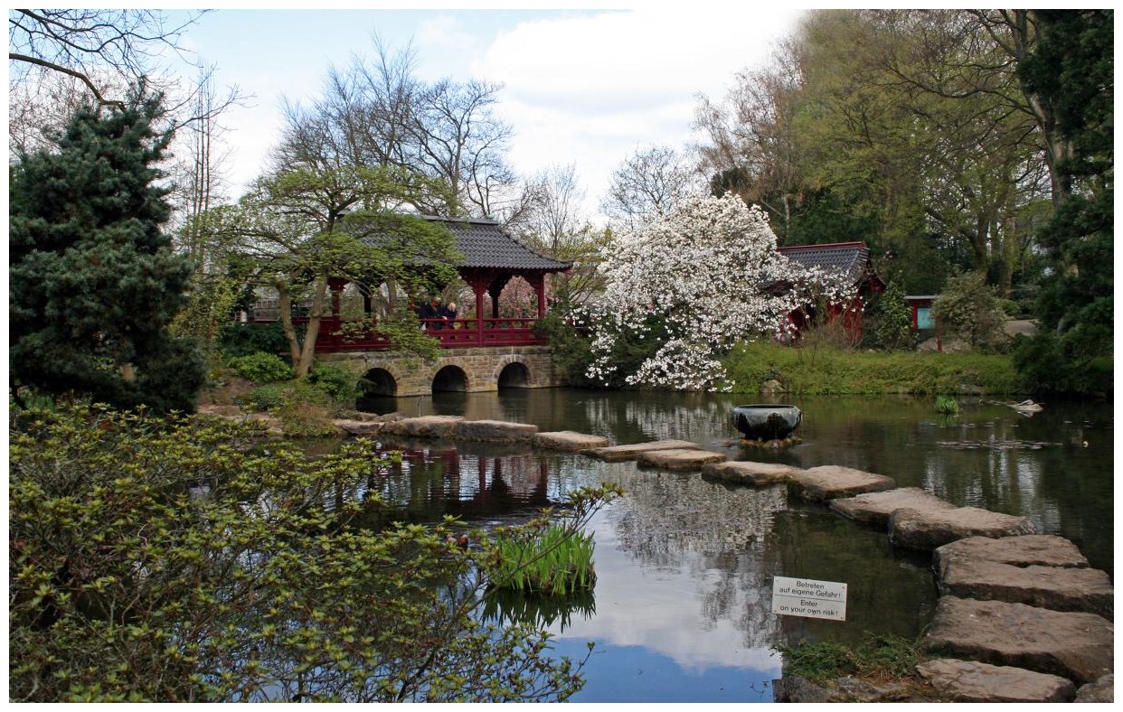 im japanischen Garten der BAYER AG in Leverkusen Foto ...