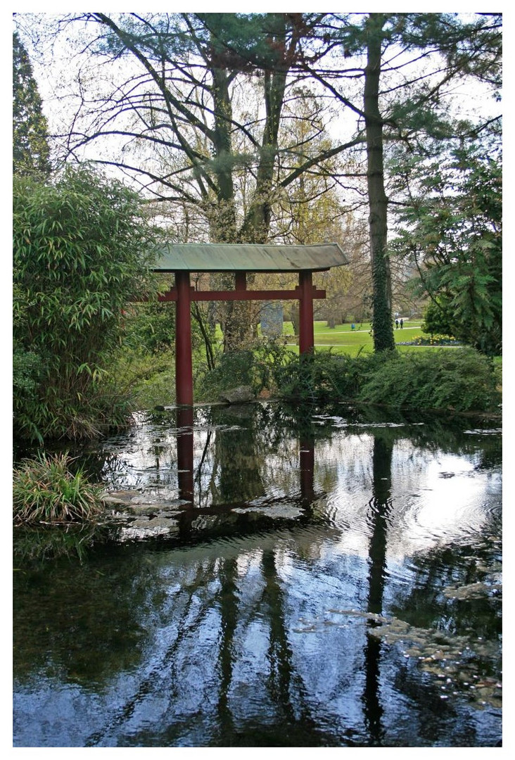 im japanischen Garten der BAYER AG in Leverkusen II