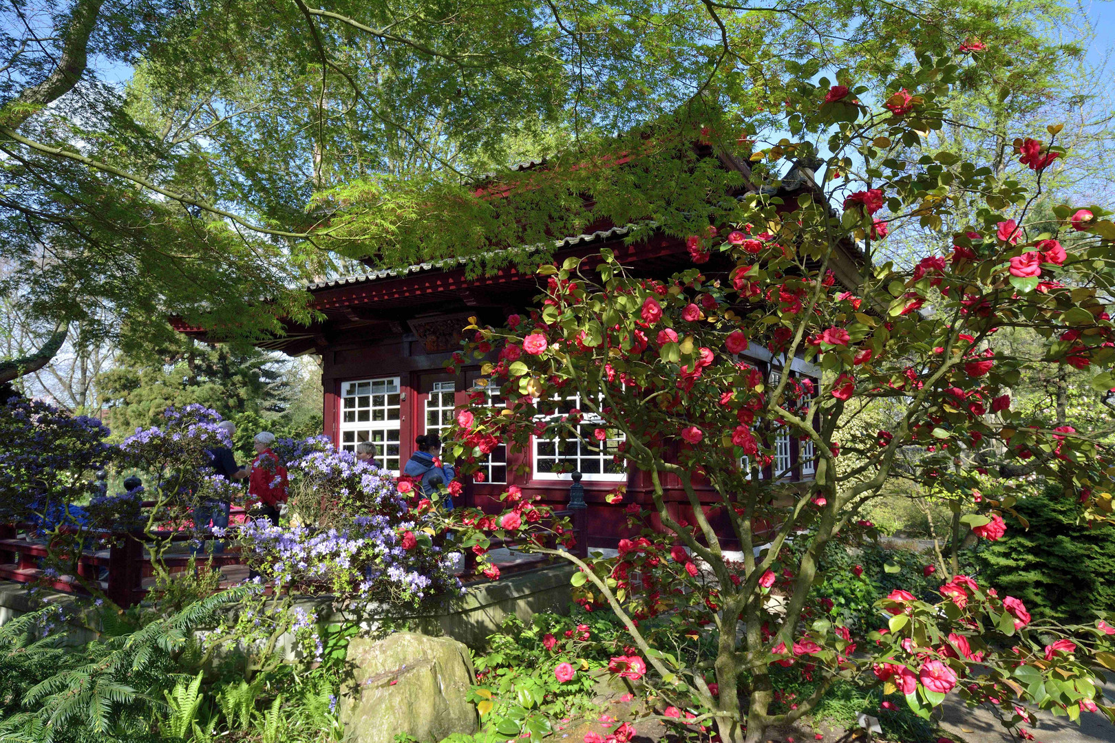 Im Japanischen Garten Leverkusen