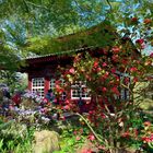 Im Japanischen Garten Leverkusen