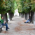 Im Jardin de Luxembourg