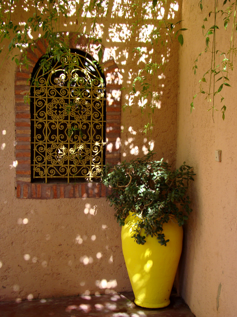 Im Jardin Majorelle