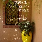 Im Jardin Majorelle