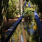 Im "Jardin Majorelle"